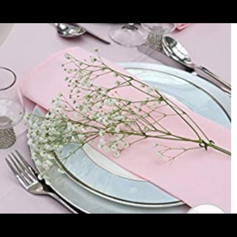 Cloth napkins 17x17